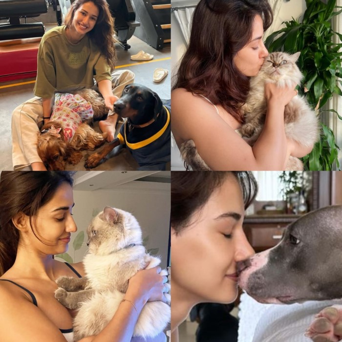 Disha Patani with Bella, Goku, Chi Chi, Jasmine, and Keety