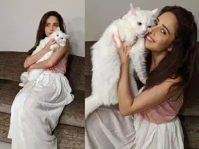 Nushrratt Bharuccha and Noah