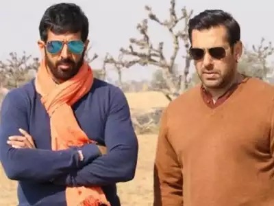 The collaboration between Salman Khan and director Kabir Khan has produced some of Bollywood's most memorable and successful films.