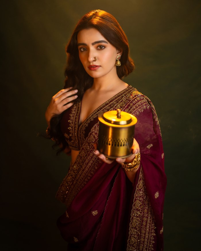 Rukshar Dhillon saree photoshoot