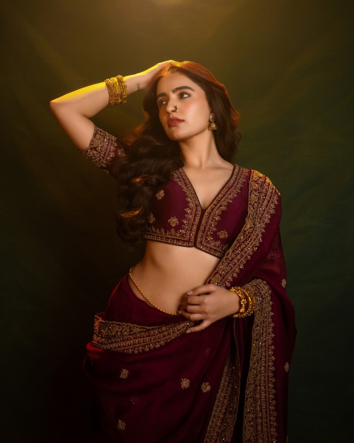 Rukshar Dhillon saree photoshoot