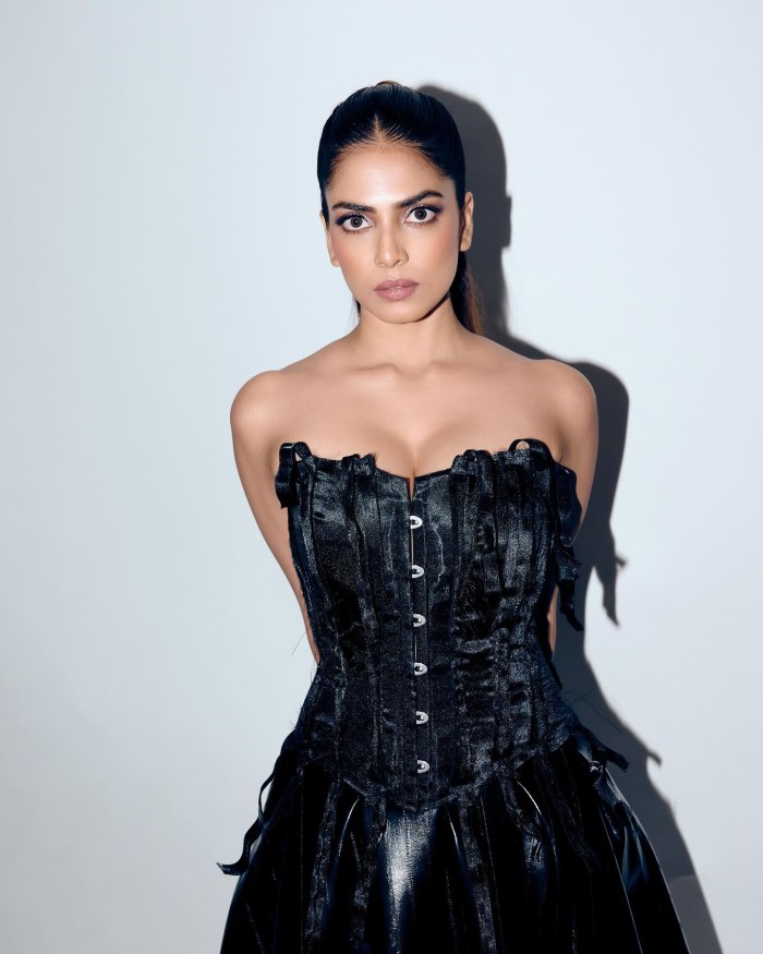 Malavika Mohanan's Striking Black Corset Gown: A High-Fashion Statement