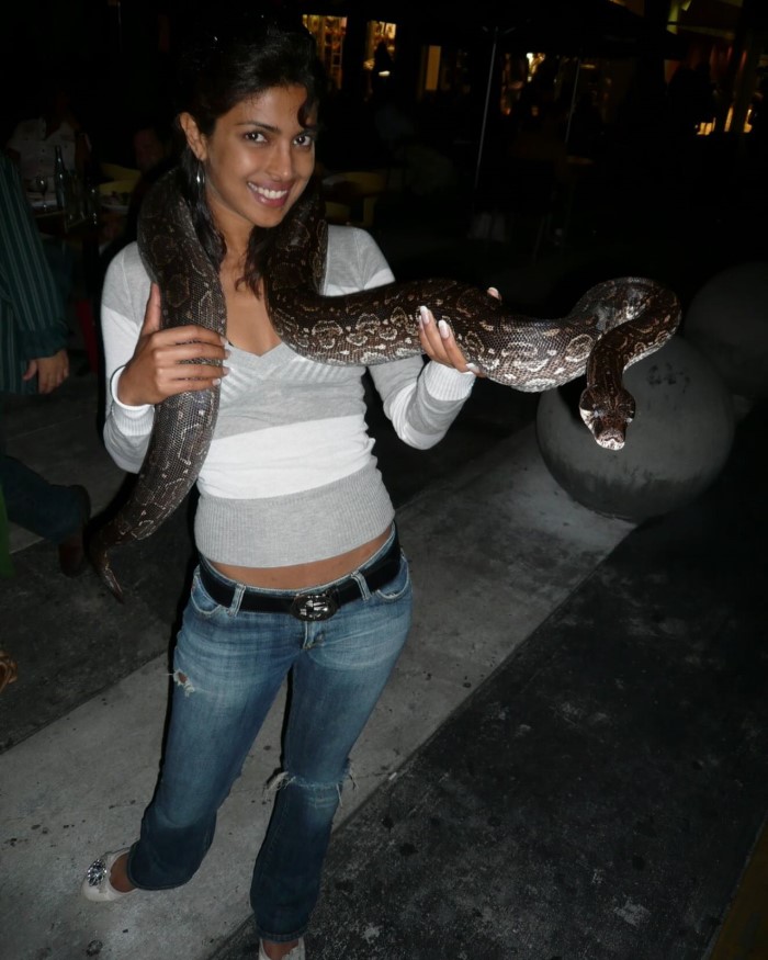 Priyanka Chopra's Nostalgic Throwback: Childhood And Early Career Memories Revealed