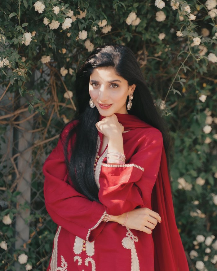 Who Is Mawra Hocane? Actress In Bollywood Movie 