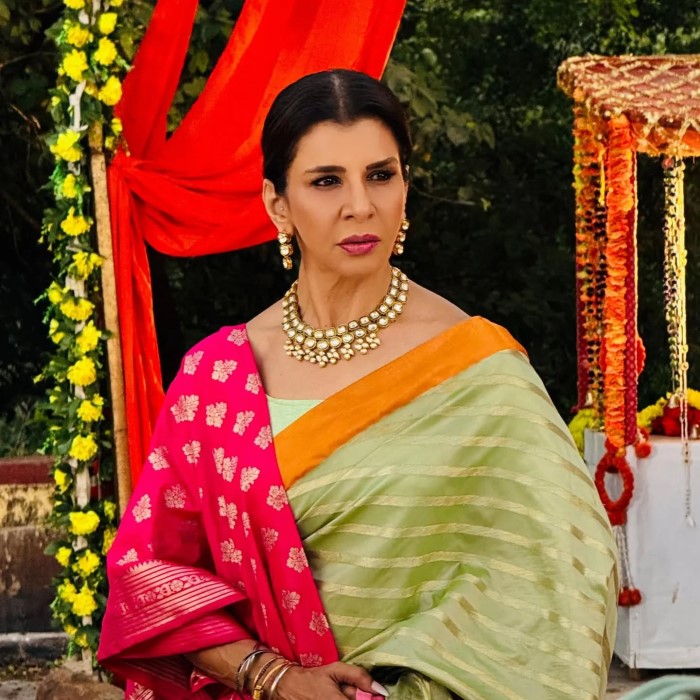 अगर हम दादी सा की बात करें तो आपको बता दें कि उनका किरदार अनीता राज निभा रही है