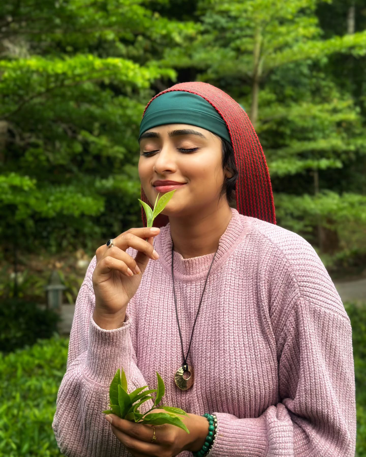 Sangeetha Sringeri Tea Plucking images