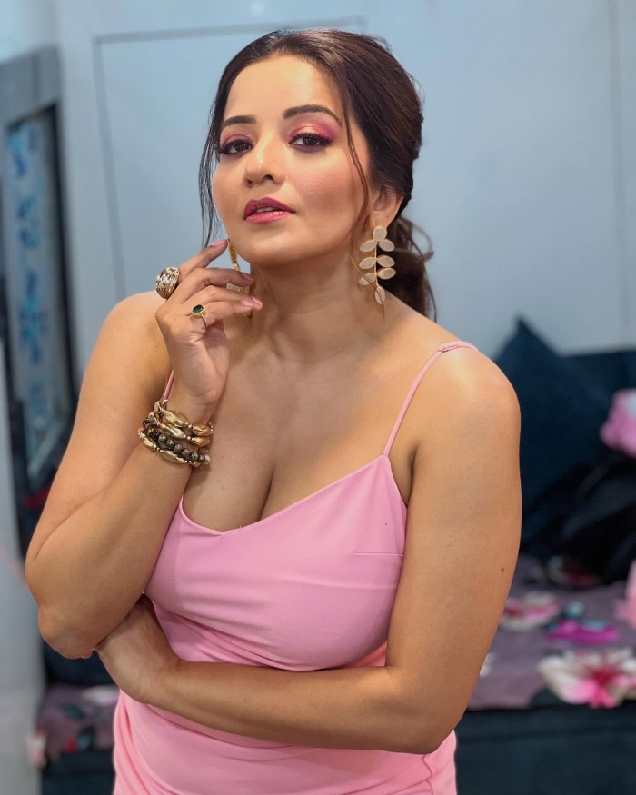 मोनालिसा भोजपुरी फिल्मों में भी काम कर चुकी है और आज के वक्त में टीवी इंडस्ट्री में काफी एक्टिव है