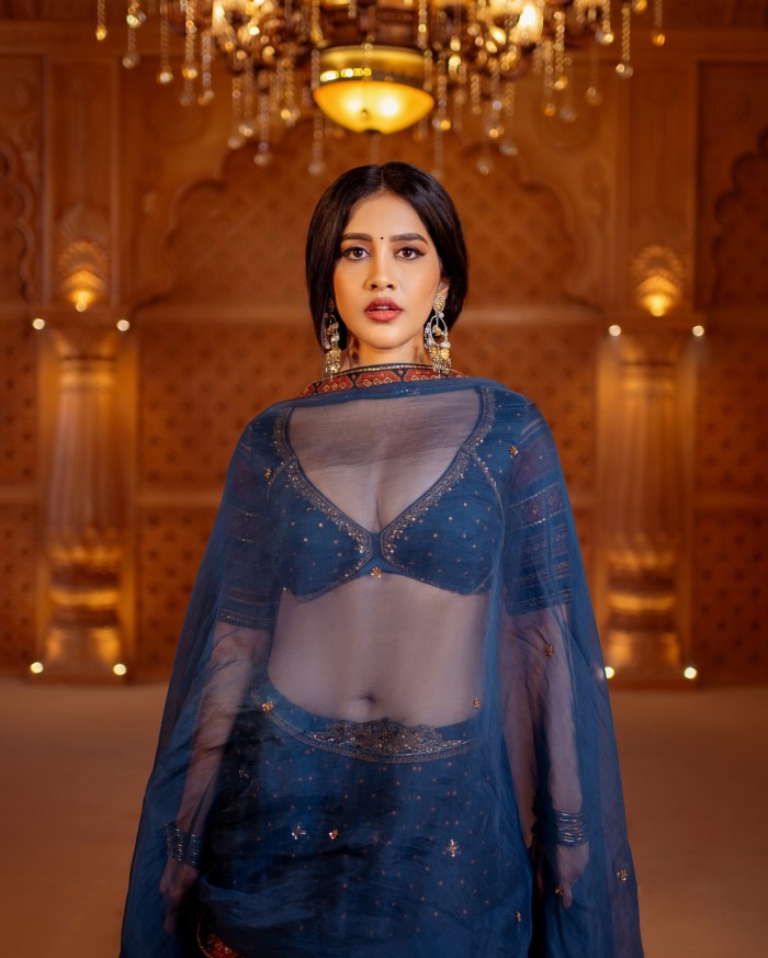Nabha Natesh paired the outfit with golden jhumkas and silver earrings, adding a touch of regal charm to her look.