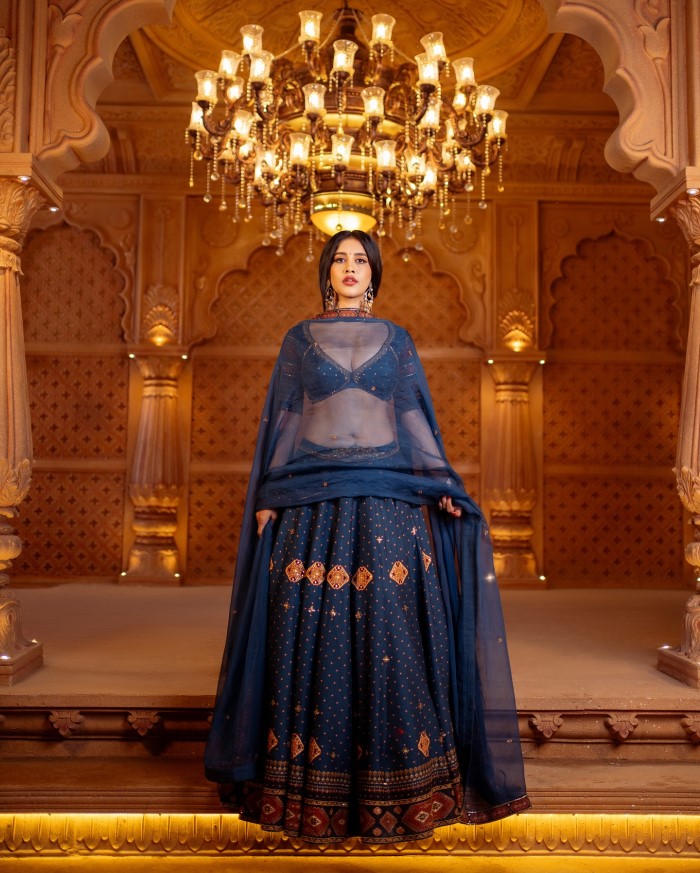The photoshoot featured a grand, palace-like setting, creating an ambiance reminiscent of a Sanjay Leela Bhansali film.