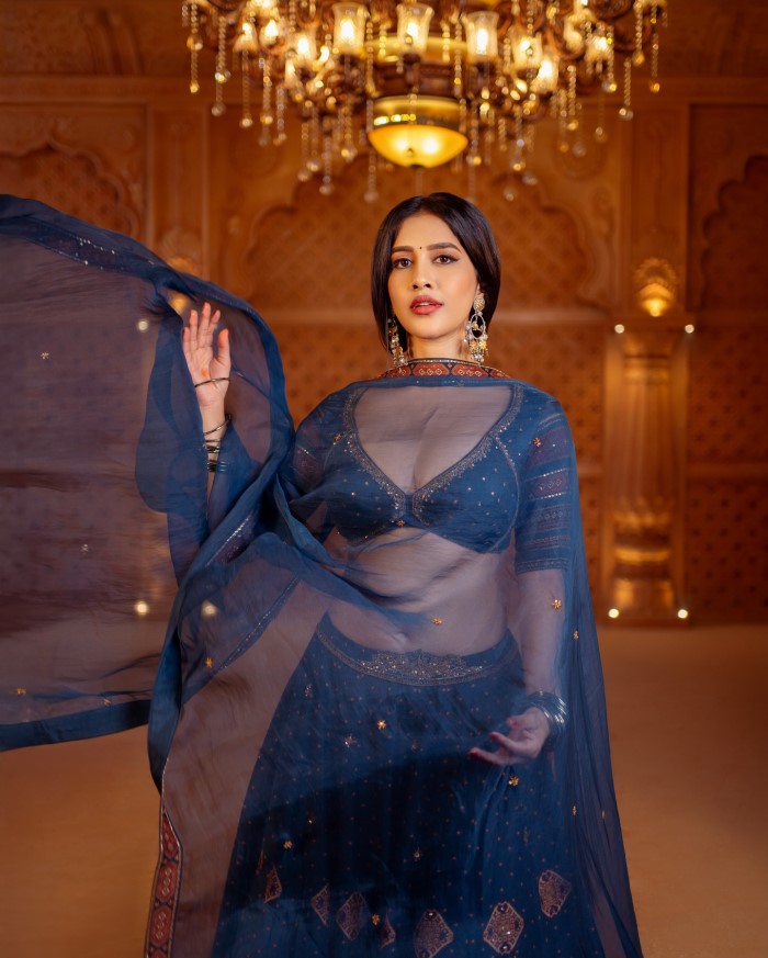 Nabha Natesh overall look exuded effortless royalty, making her a muse for modern elegance.