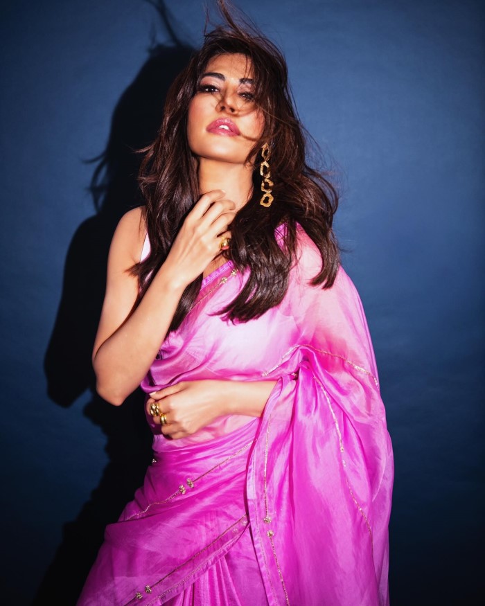 Chitrangda Singh Brings Glamour To Tradition In Stunning Saree