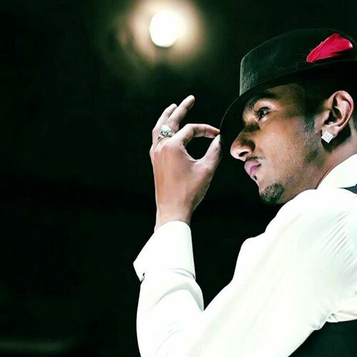 Honey Singh Mashup (2025) – A mix of romantic melodies, party anthems, and chill beats, offering a diverse listening experience.