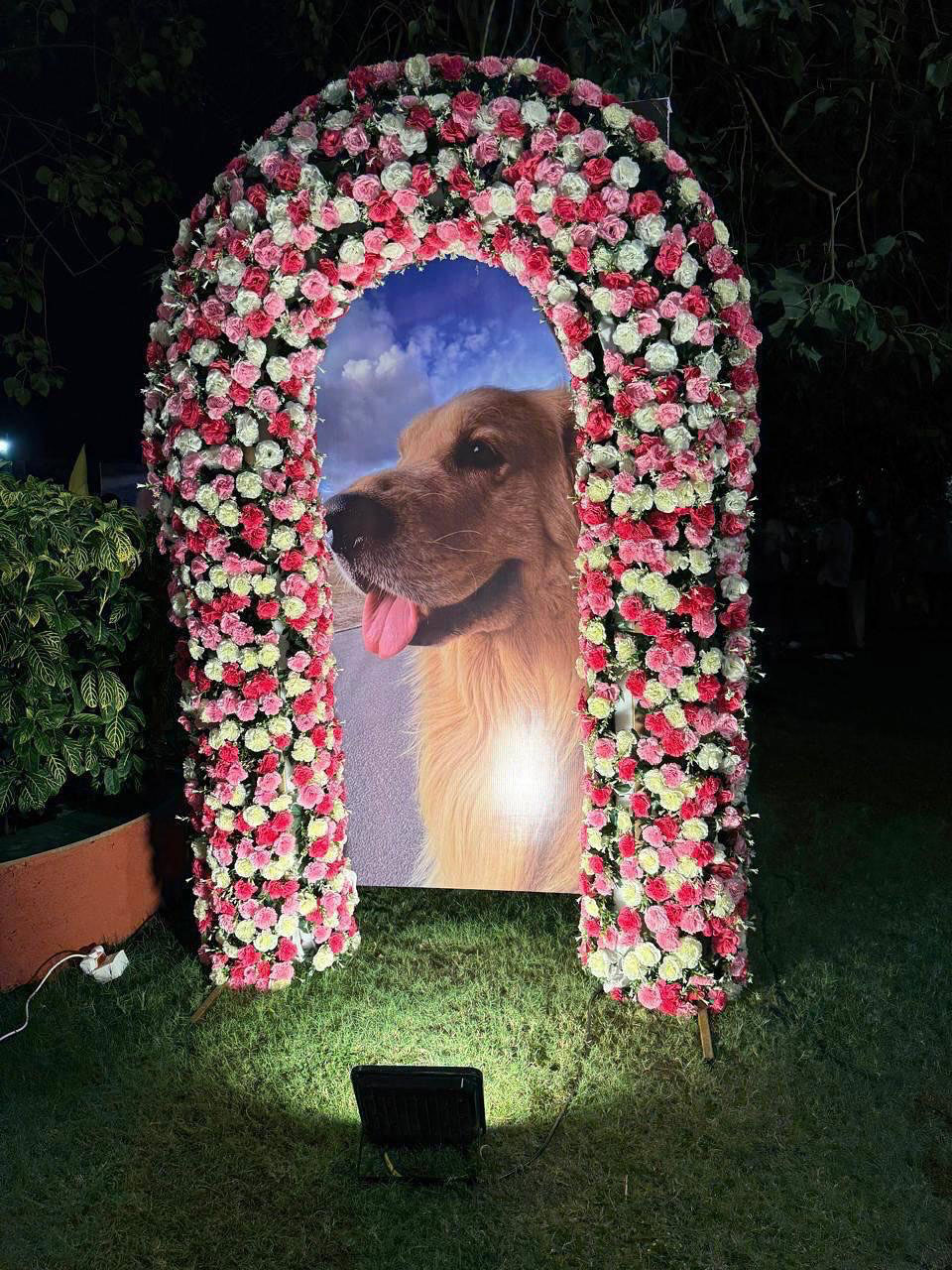Heartfelt Tribute To Anant Bhai Ambani’s Beloved Dog, Happy Ambani