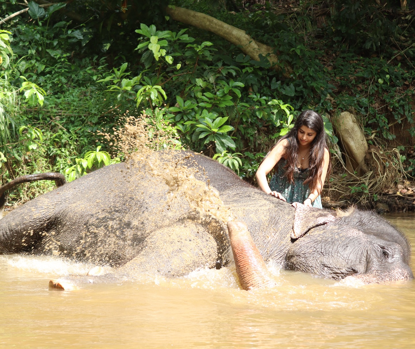 Sharanya Shetty’s Joyful Vacation In Sri Lanka’s Elephant Camp