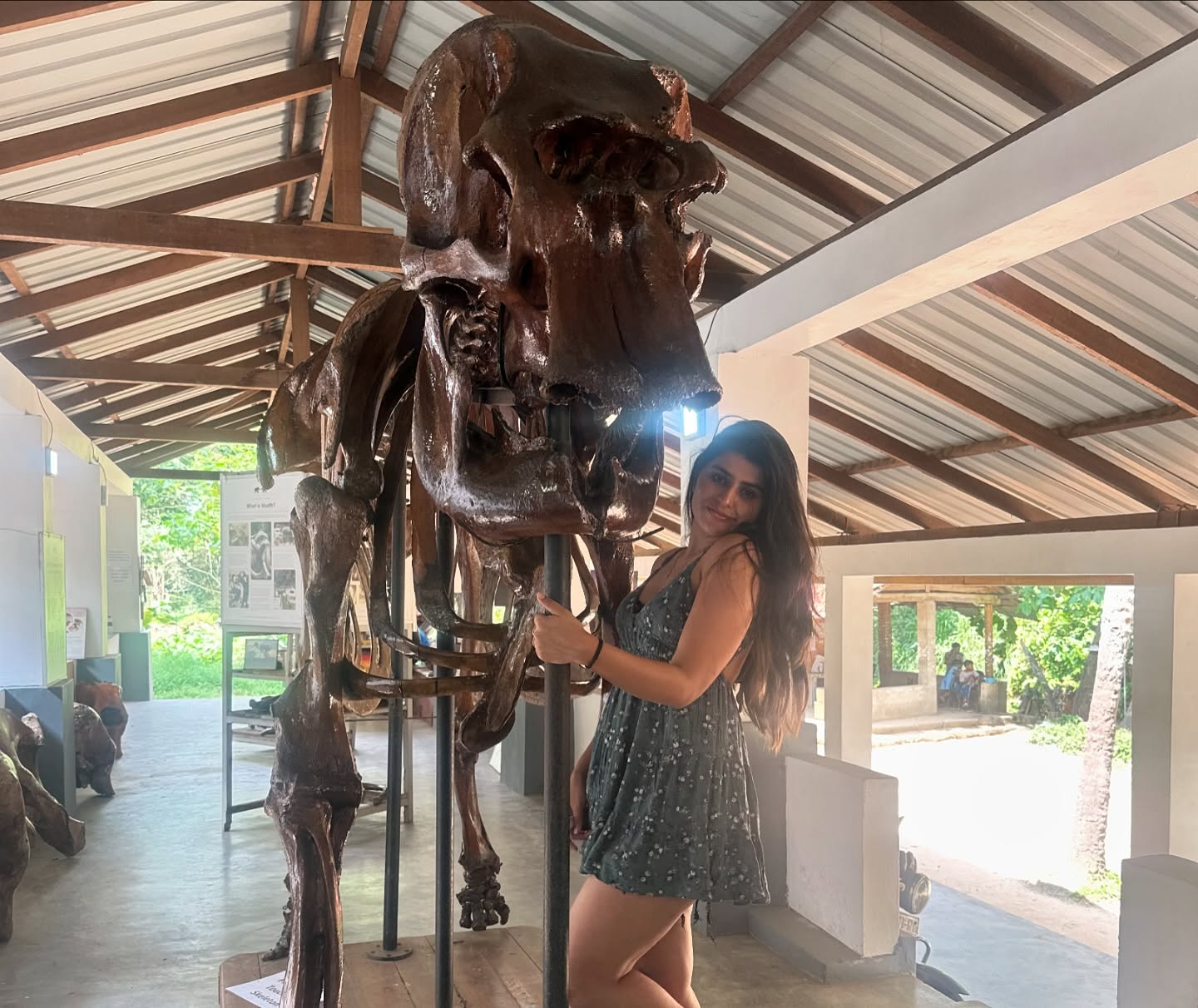 Sharanya Shetty’s Joyful Vacation In Sri Lanka’s Elephant Camp