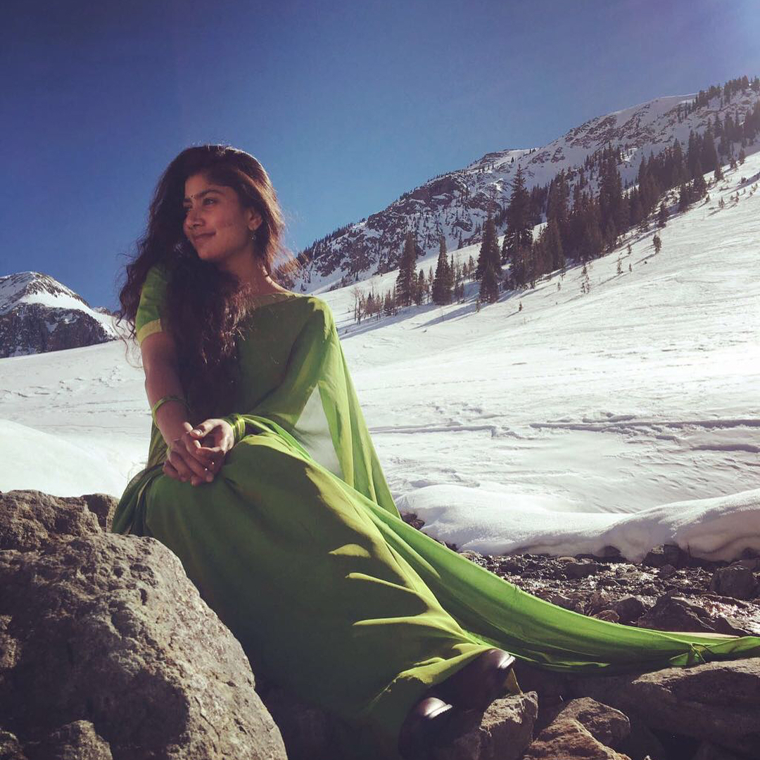 Serene Green Against a Winter Wonderland