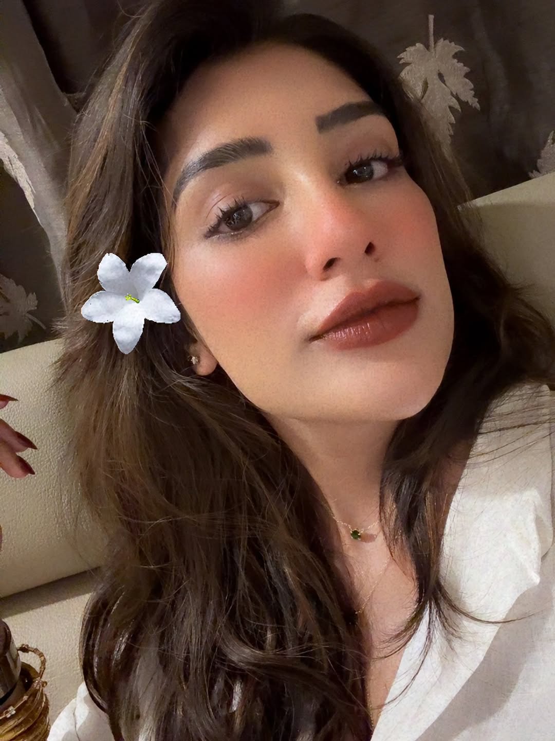 Social Media Darling Before the Silver Screen