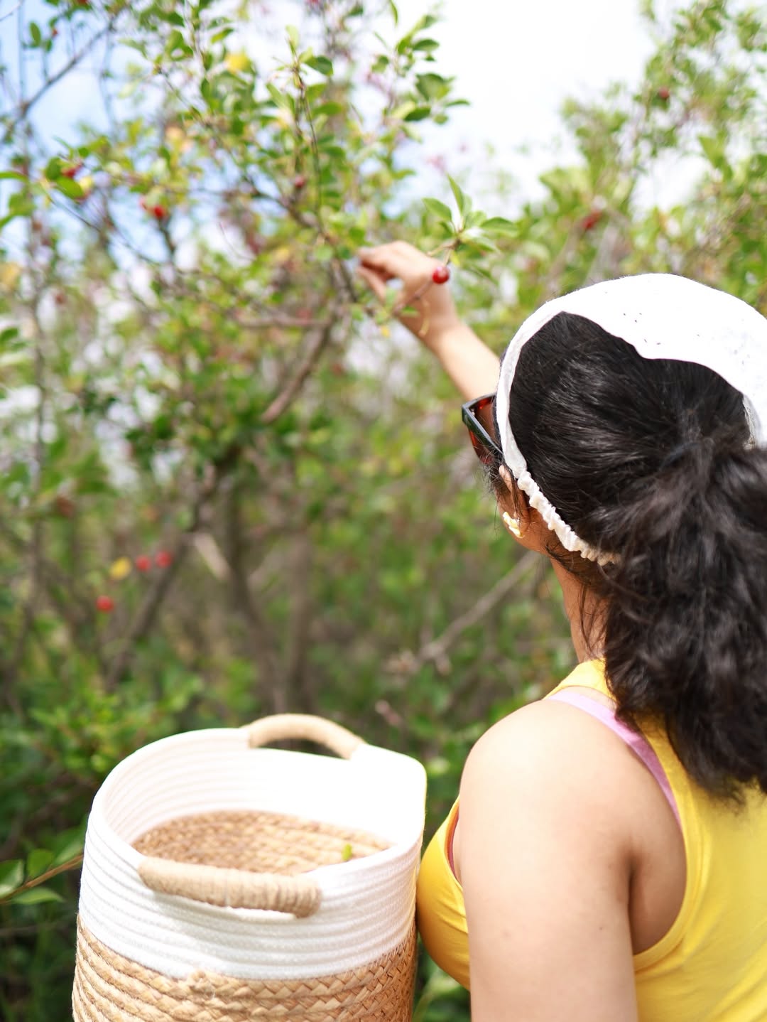 Ameya Mathew effortlessly combines orchard chic with a touch of style–picking cherries like a pro and looking sweet enough to be on the fruit cart!