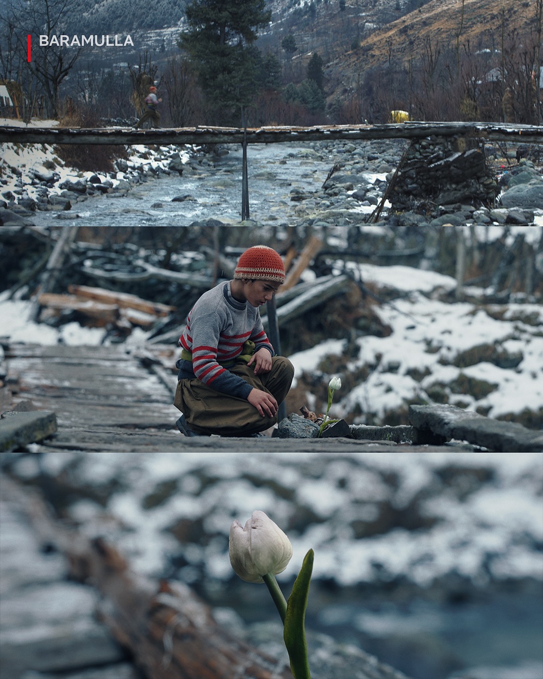 Baramulla: A Tale Rooted in the Heart of Kashmir