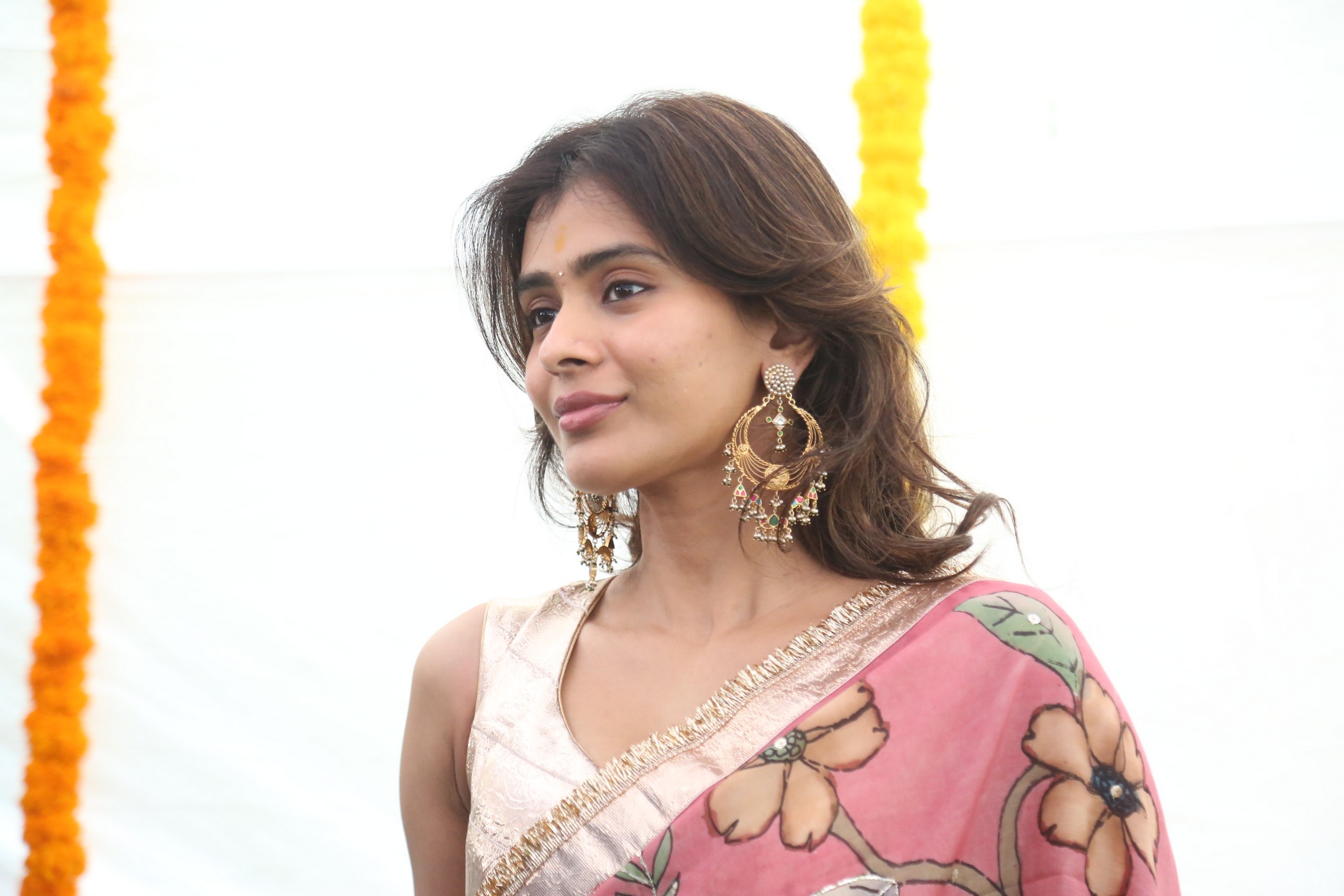 Hebah Patel in elegant traditional floral saree look