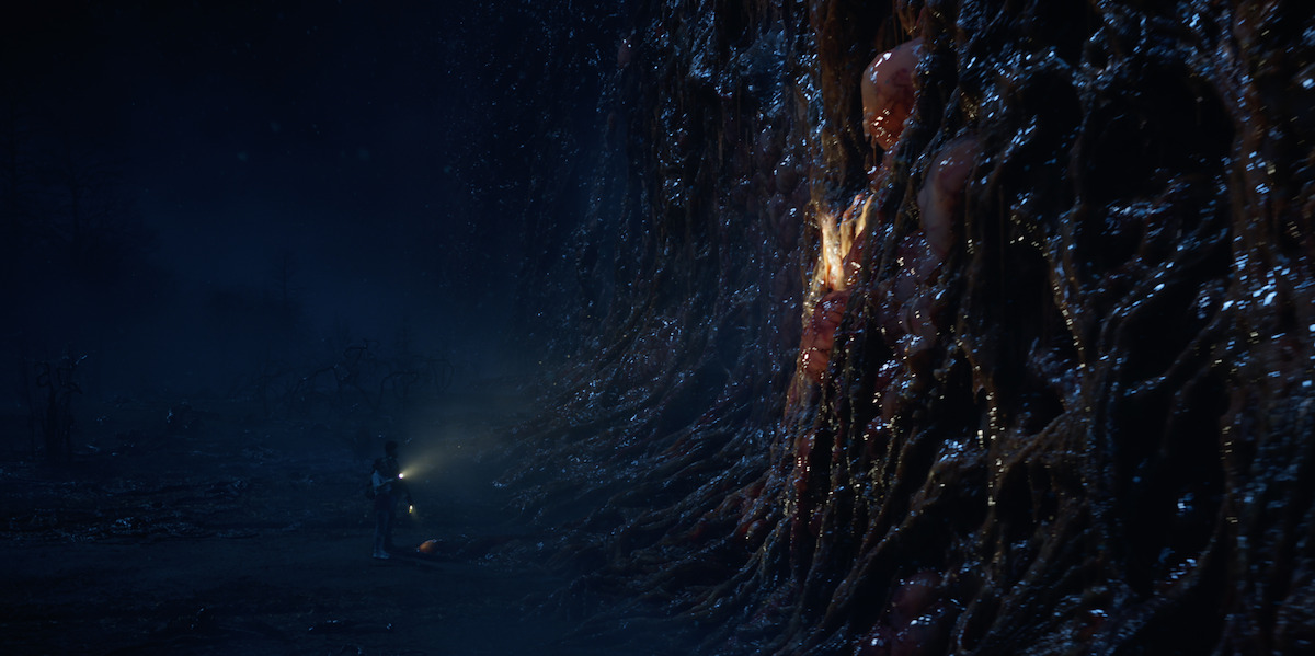 The Truth About the Upside Down