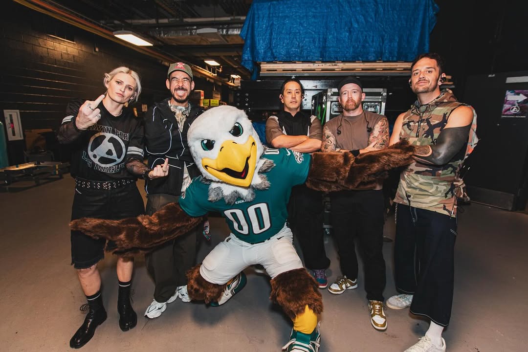 Tickets, Passes and Festival Experience