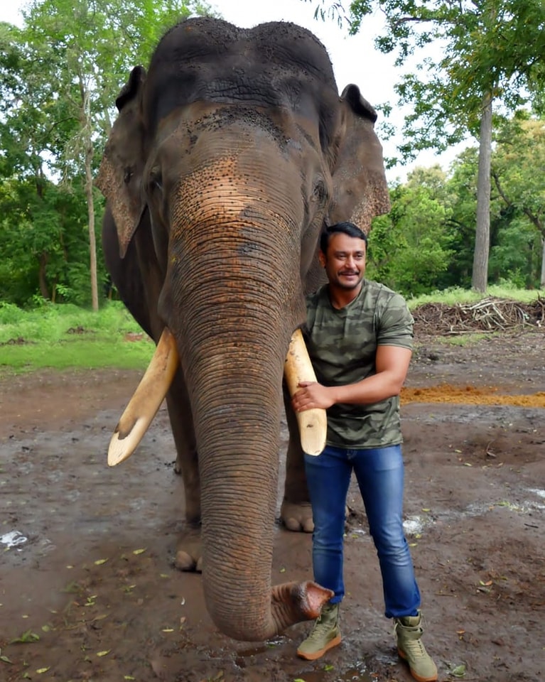 Social Work and Animal Welfare Contributions