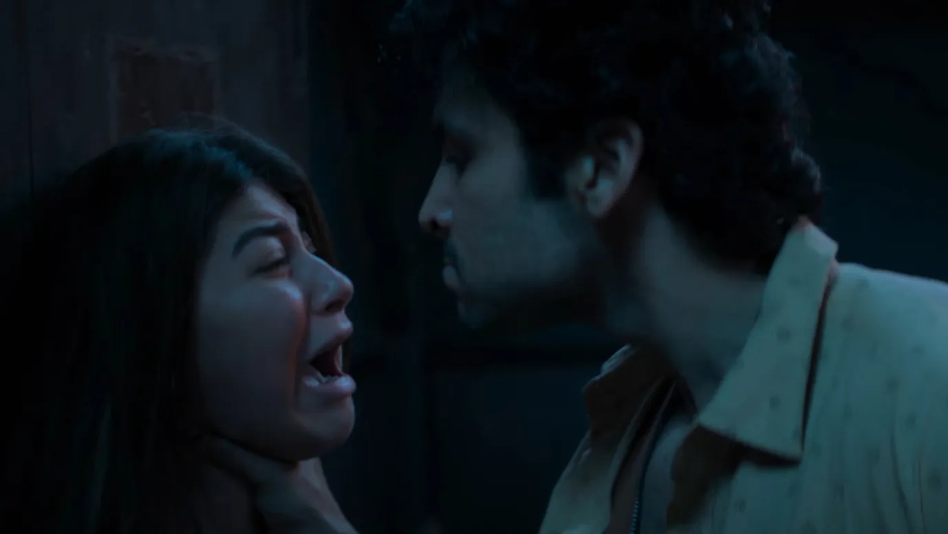 Questions Raised Over CBFC’s Application of Mind