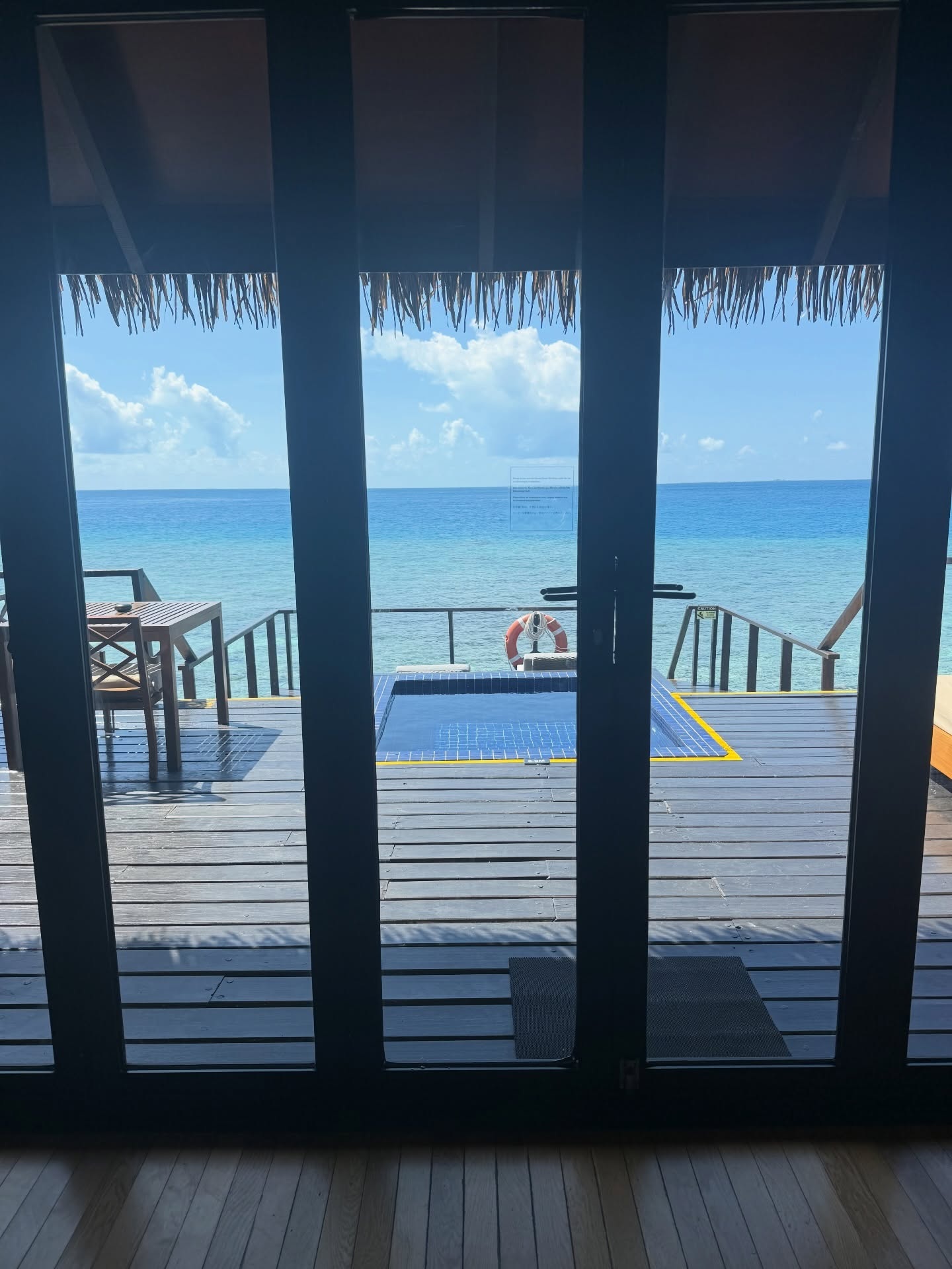 Samyuktha Shanmughanathan and Anirudha Srikkanth’s Maldives Trip Photos Go Viral