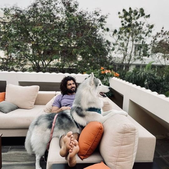 Vijay Deverakonda–Rashmika Mandanna Wedding: Couple’s Luxurious Hyderabad Home Photos Go Viral