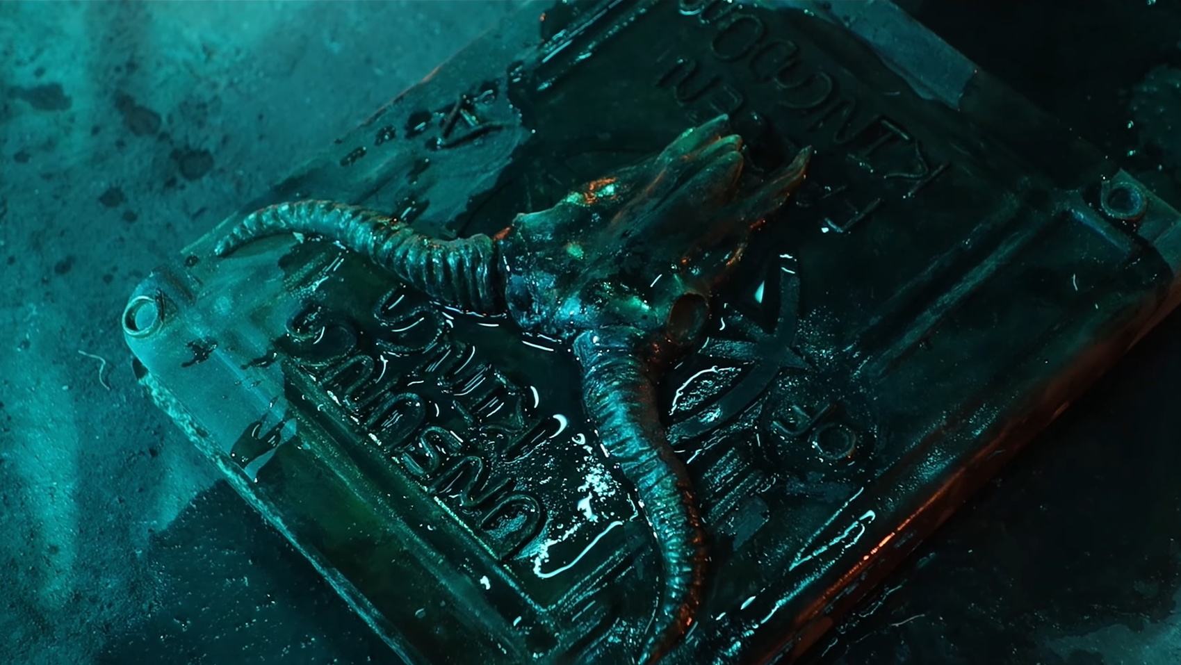 A Deadly Book At The Center Of The Mystery