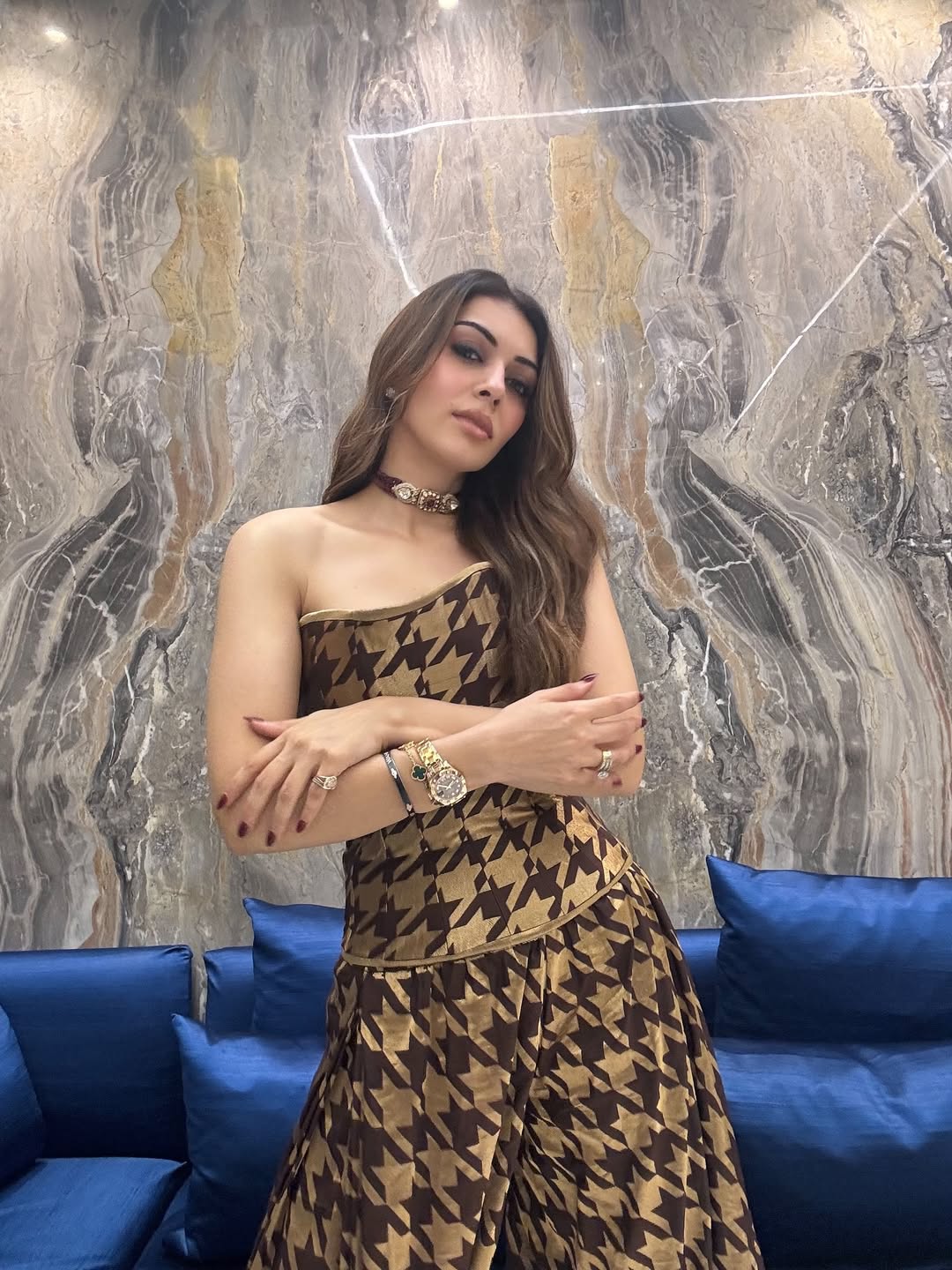 Hansika Focuses On Her Career Ahead