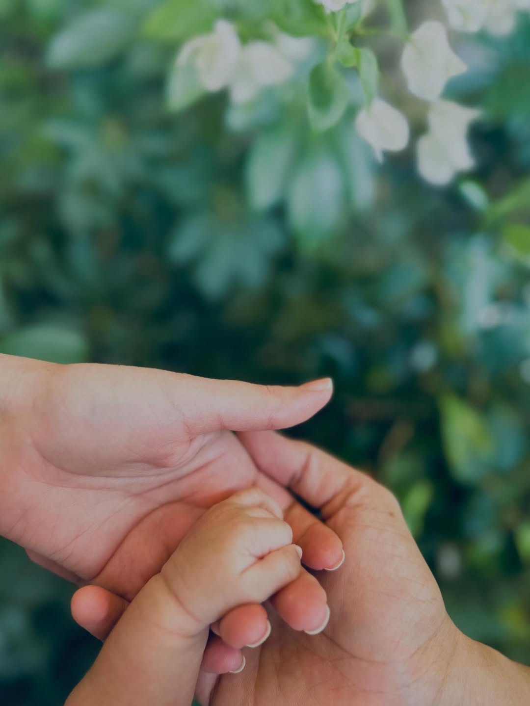 Welcoming Vihaan: A Ray of Light