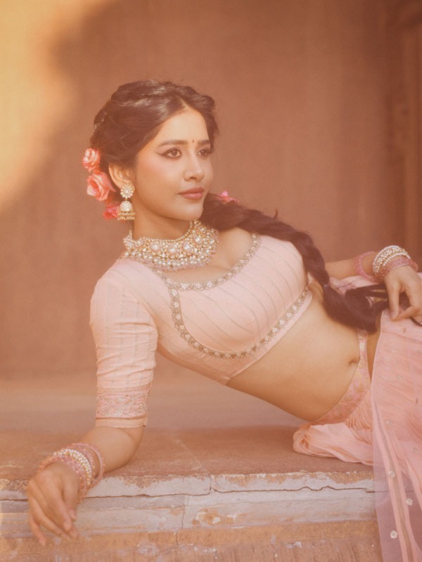 Actress Nabha Natesh A vision in pink and tradition look