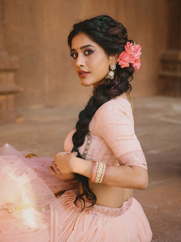 Actress Nabha Natesh A vision in pink and tradition look
