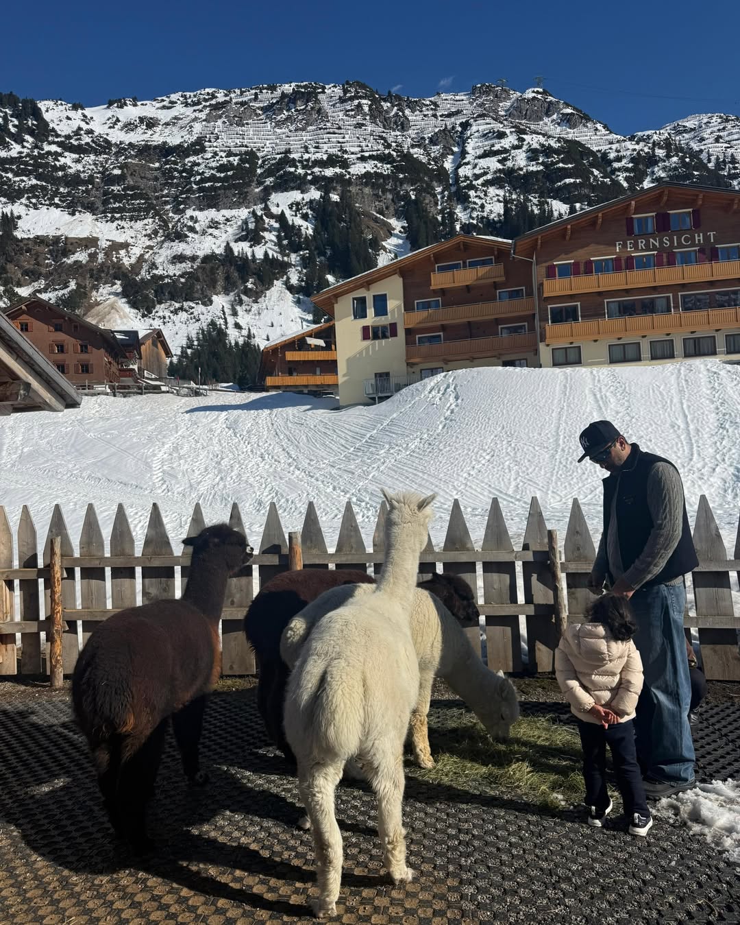 A Luxurious Touch: Zurich’s Iconic Dining