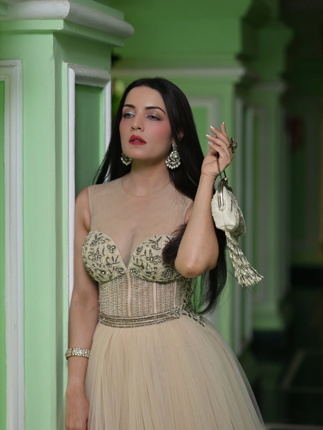 Celina Jaitly elegant sparkling gown glamorous pose