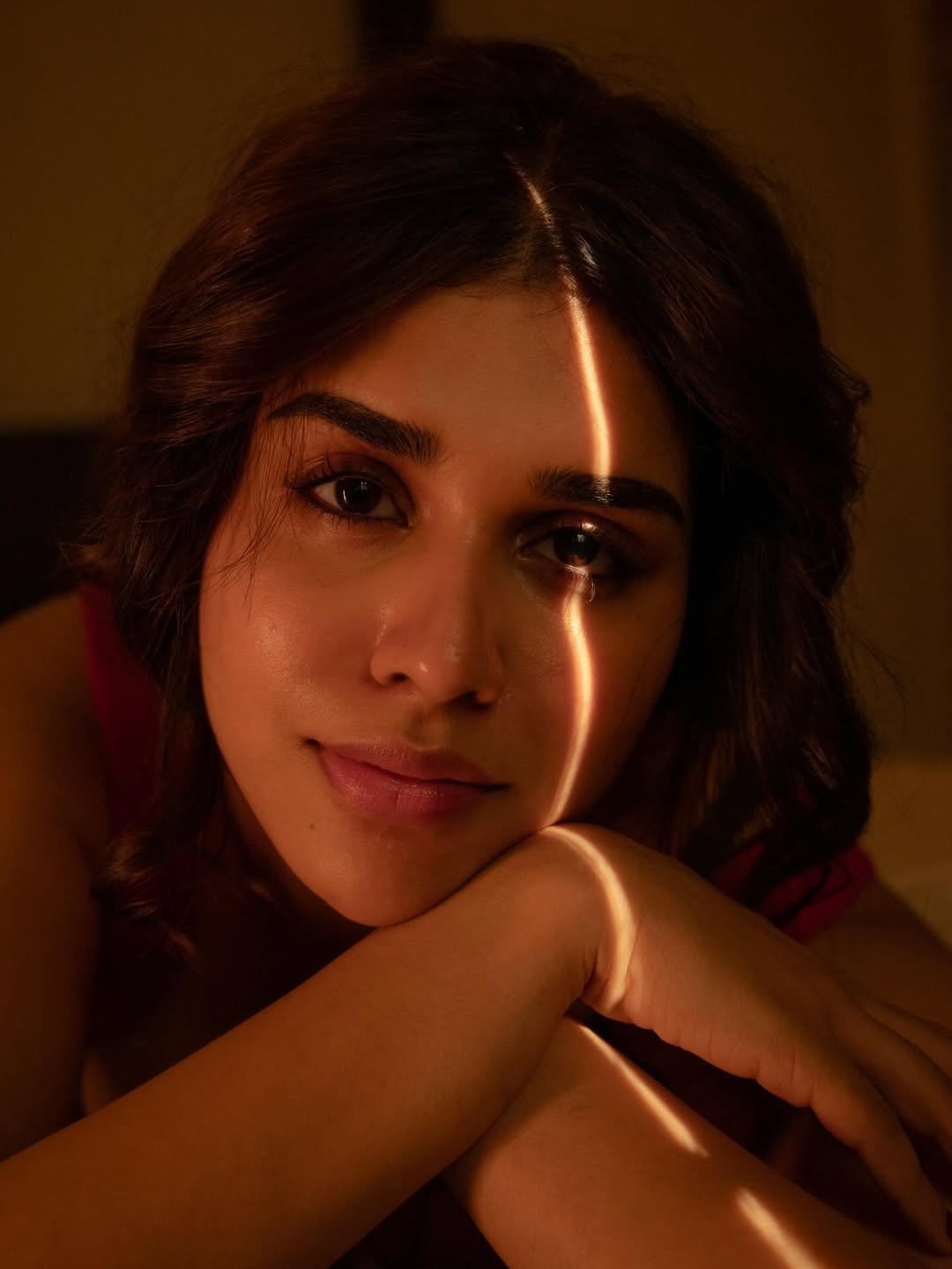 Meenakshi Govindarajan golden hour elegant pose stylish look