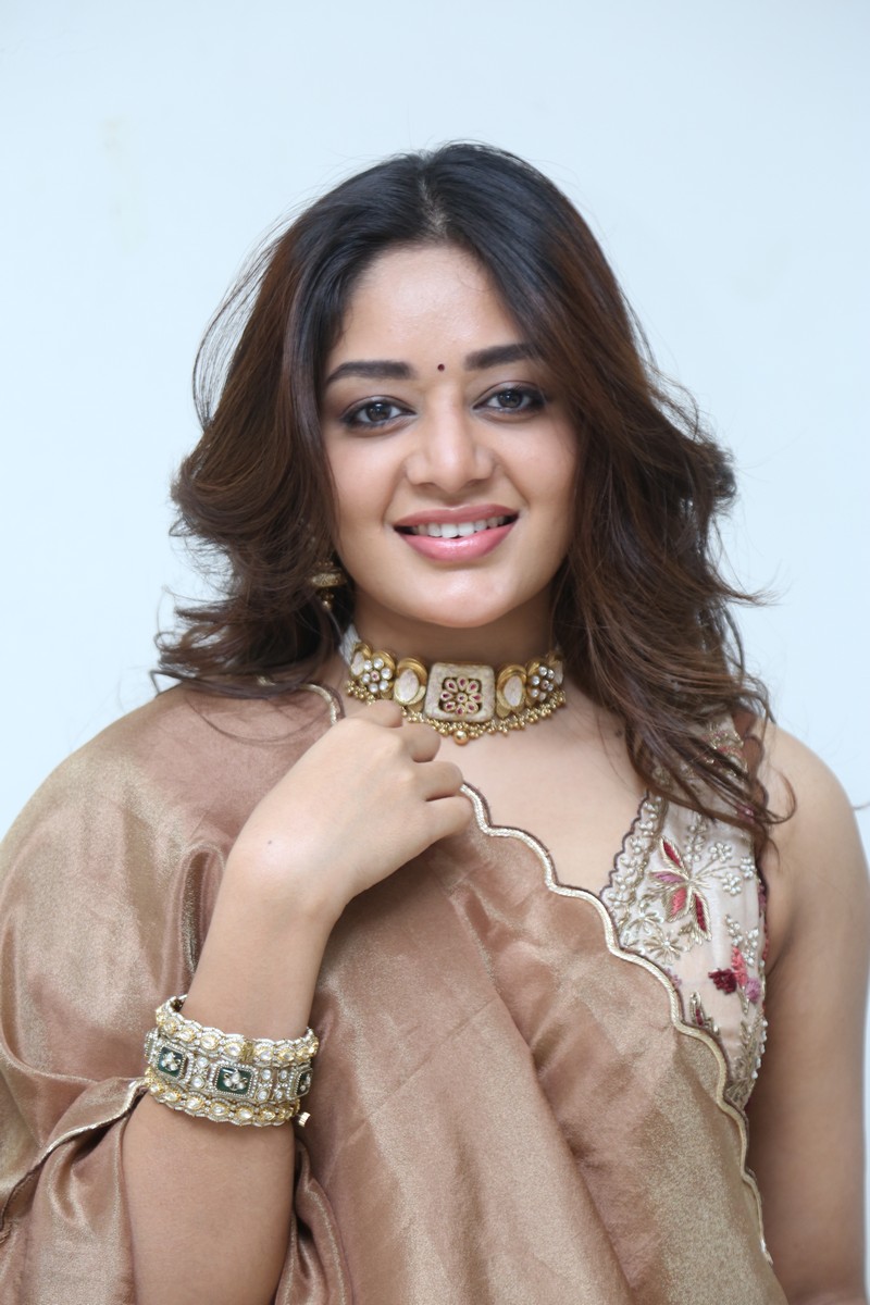 Deepshikha Chandran glowing in ethnic fashion look