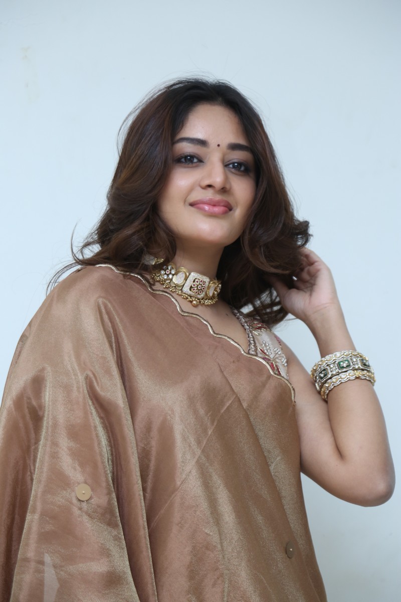 Deepshikha Chandran in glamorous ethnic appearance