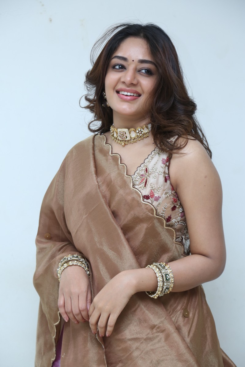 Deepshikha Chandran elegant portrait in traditional outfit