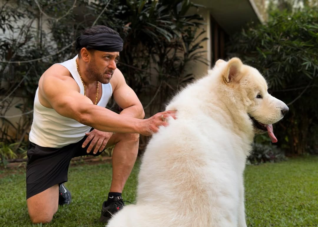 Salman’s Rugged Side Wins Hearts