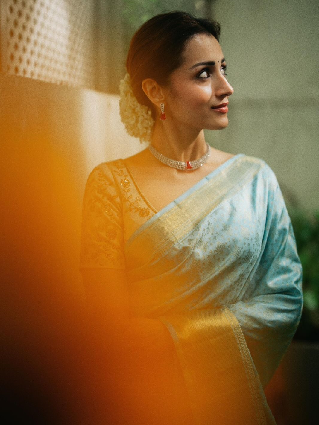 Trisha Krishnan blue silk saree glamorous appearance
