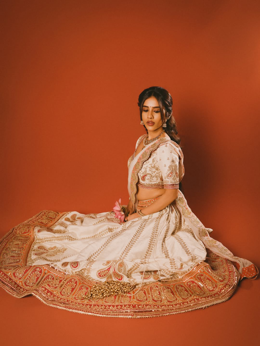Nabha Natesh