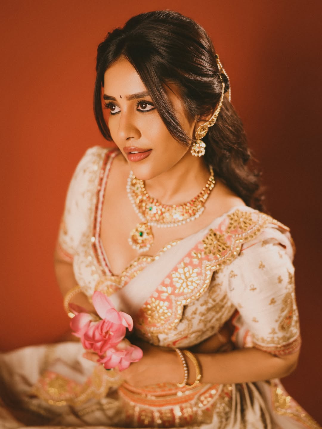 Nabha Natesh