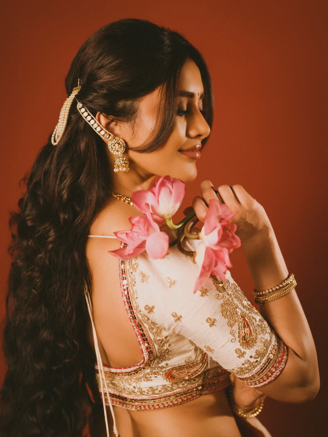 Nabha Natesh