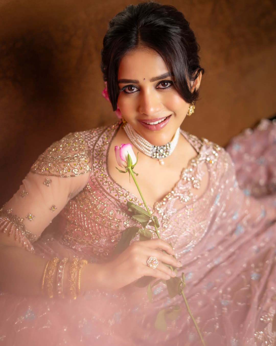 Nabha Natesh's Graceful Saree Photos
