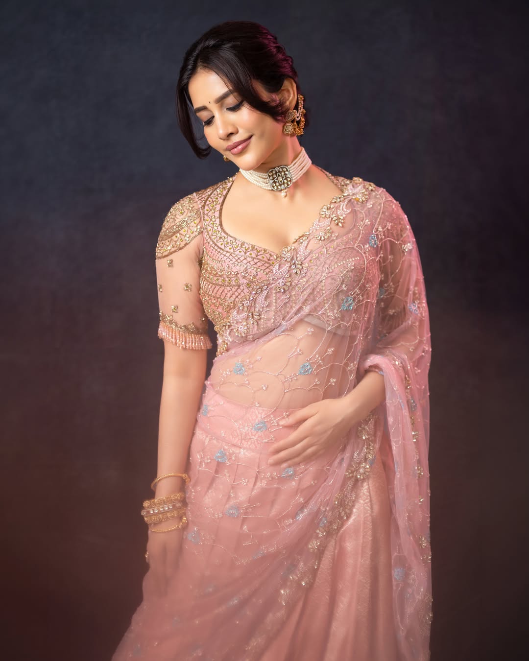 Nabha Natesh festive wear fashion