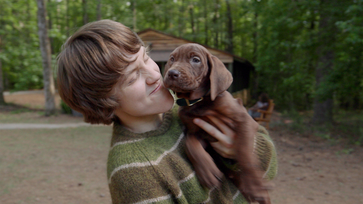 Scooby-Doo: Origins Introduces a Real-Life Scooby for the First Time