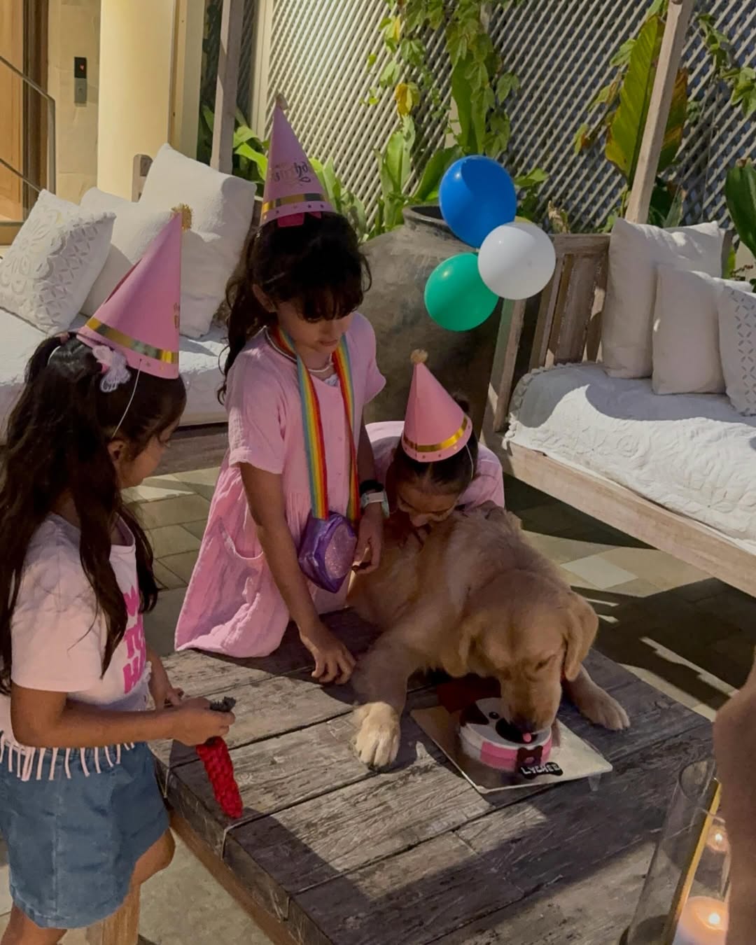 A Celebration of Love, Happiness and Precious Memories